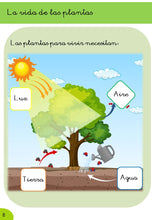 Ciencias Naturales 1 - 2º Trimestre